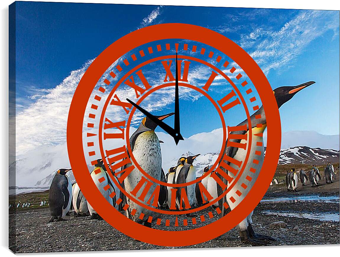 Часы картина - Толпа пингвинов