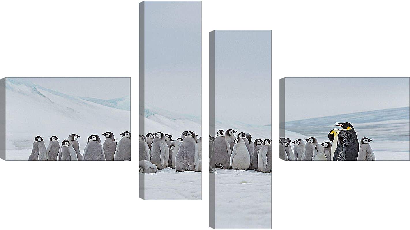 Модульная картина - Пингвины на снегу