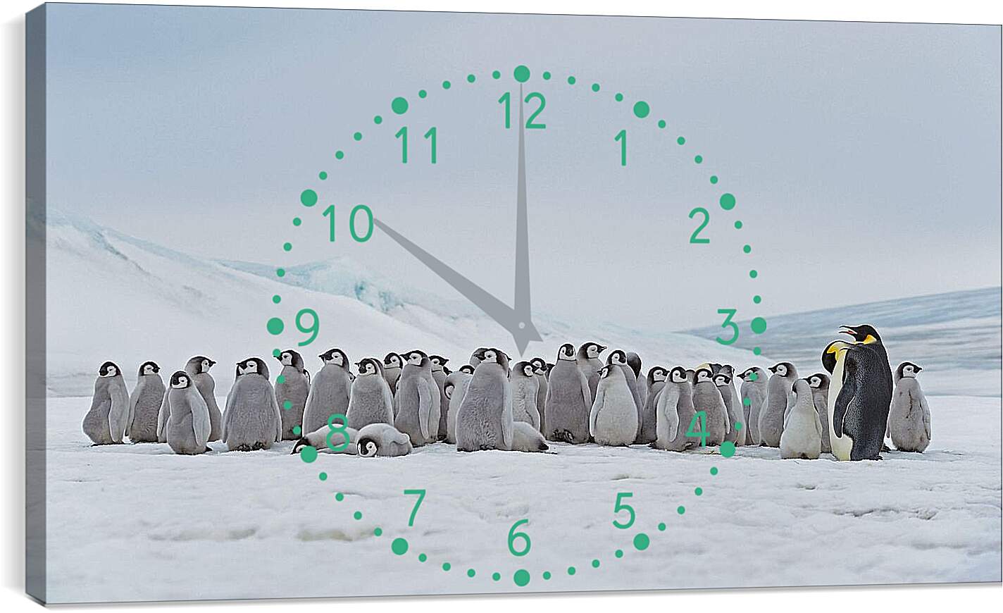 Часы картина - Пингвины на снегу