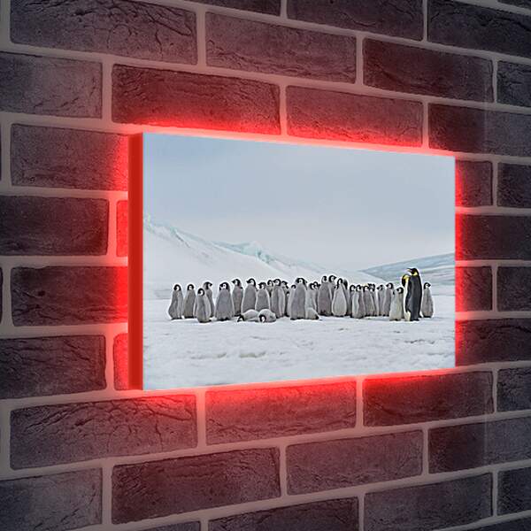 Лайтбокс световая панель - Пингвины на снегу