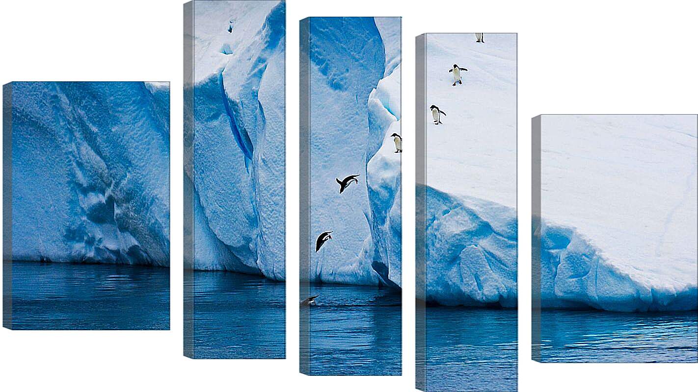 Модульная картина - Ныряющие пингвины