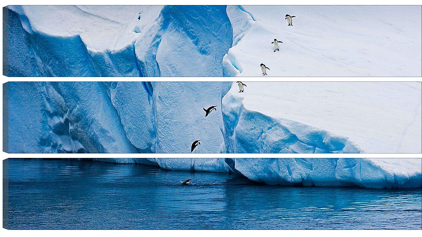 Модульная картина - Ныряющие пингвины