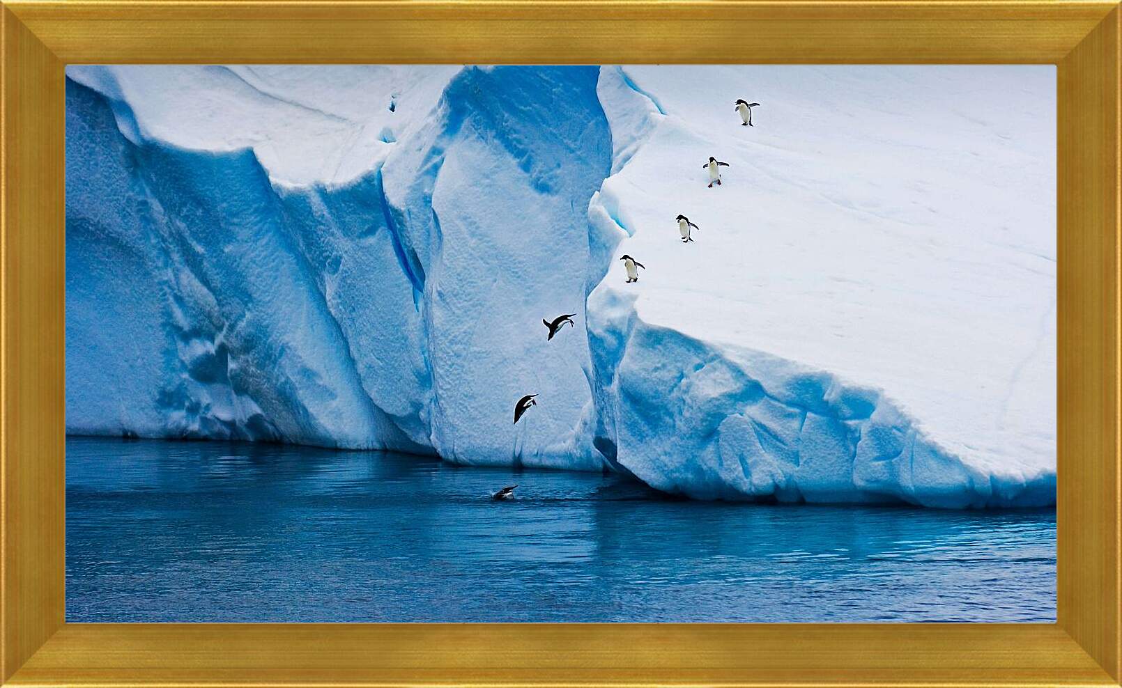Картина в раме - Ныряющие пингвины