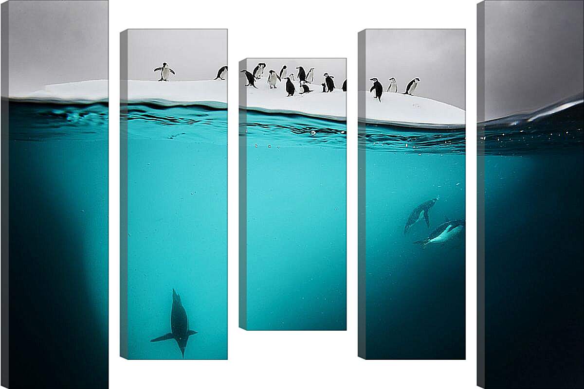 Модульная картина - Пингвины под водой