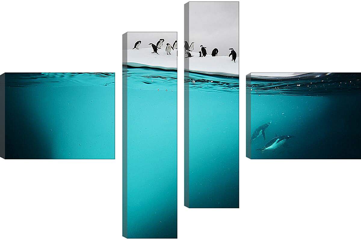 Модульная картина - Пингвины под водой