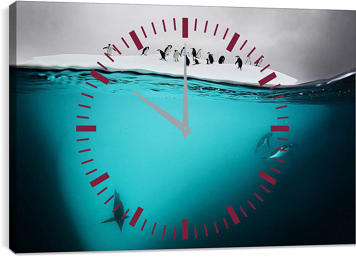 Часы картина - Пингвины под водой