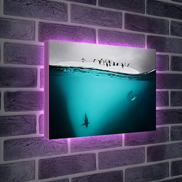 Лайтбокс световая панель - Пингвины под водой