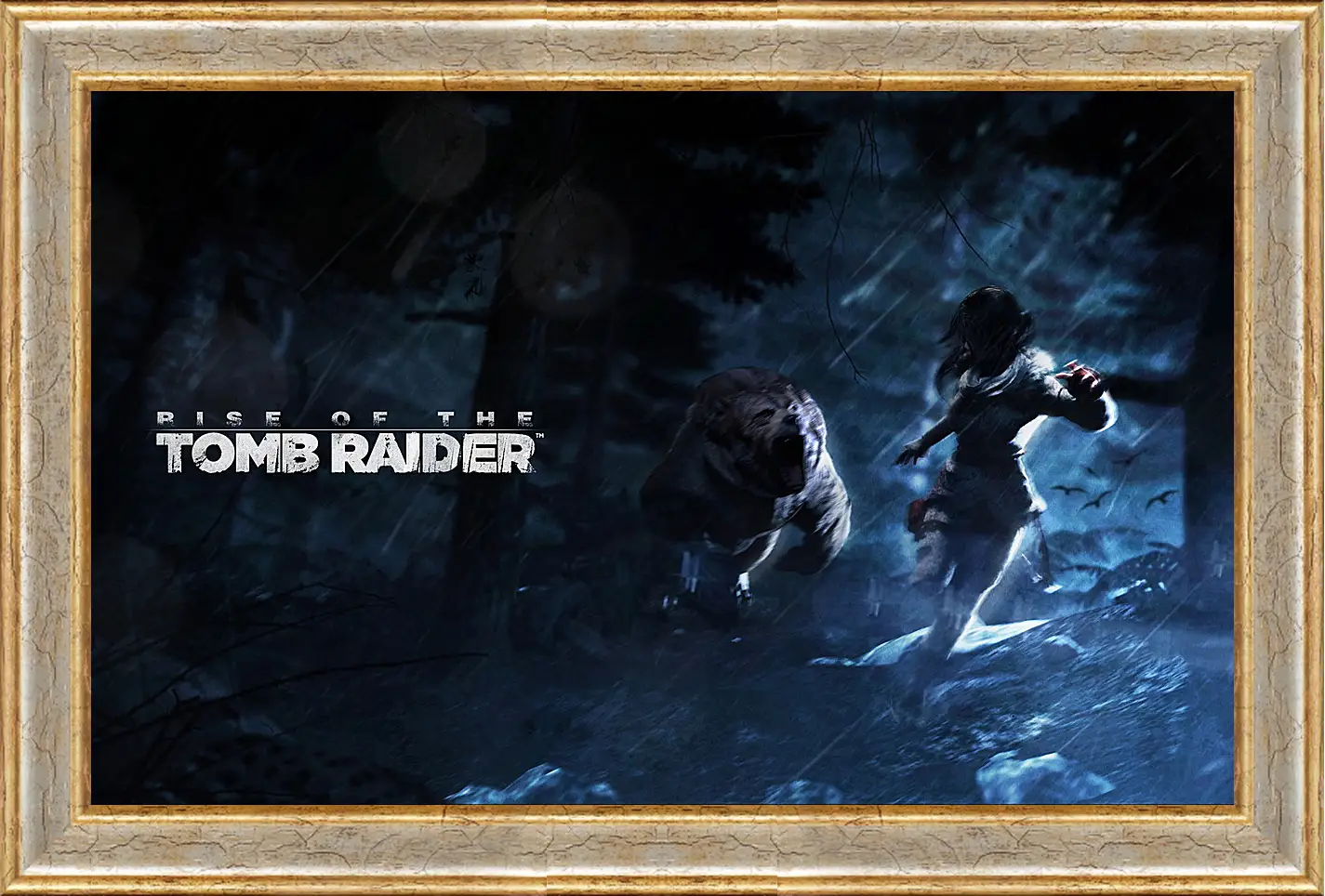 Картина в раме - Rise Of The Tomb Raider