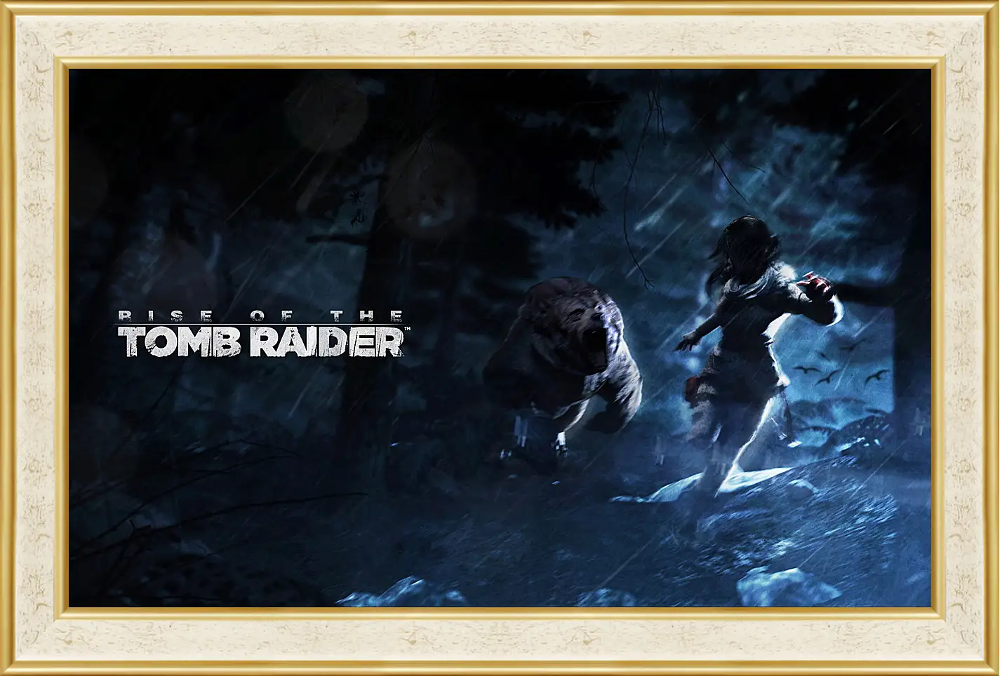 Картина в раме - Rise Of The Tomb Raider