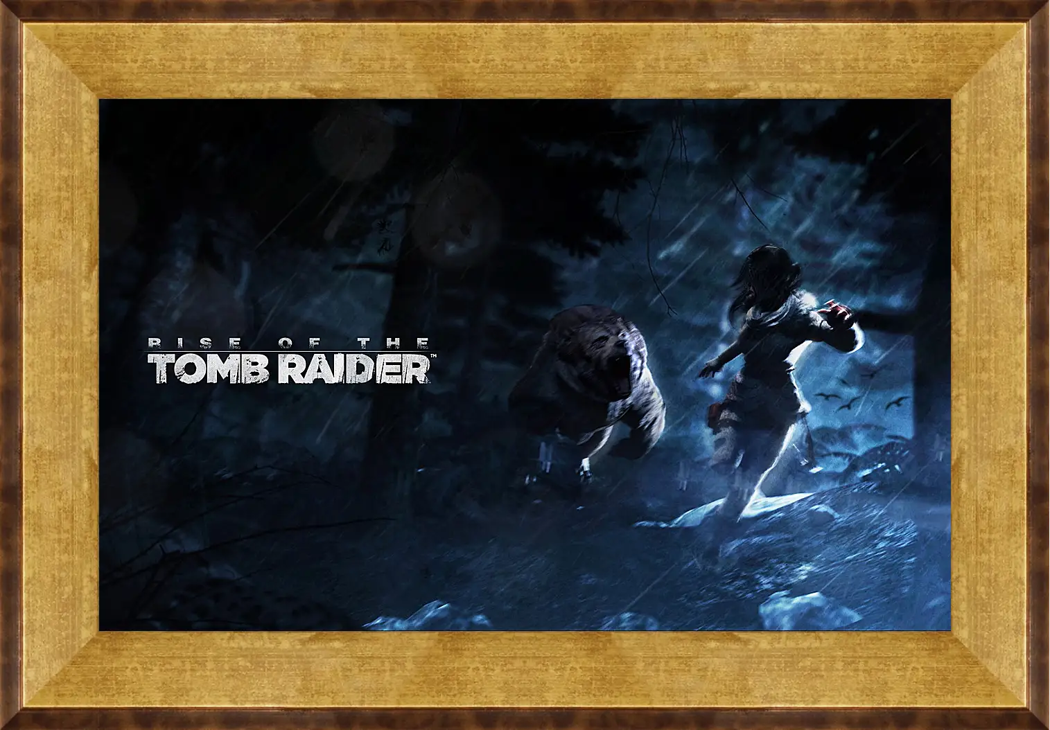 Картина в раме - Rise Of The Tomb Raider