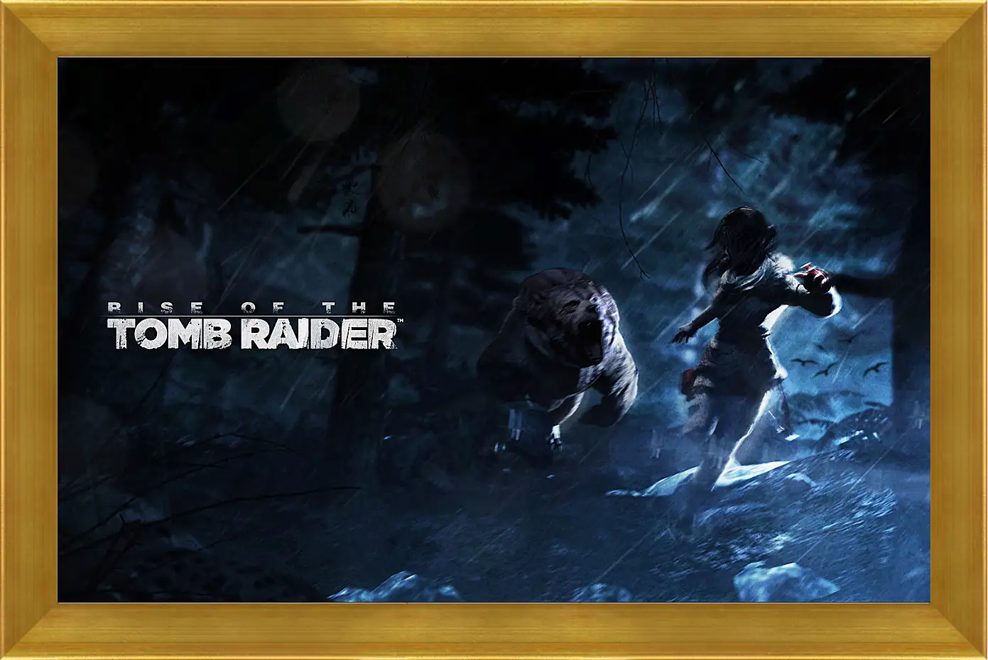 Картина в раме - Rise Of The Tomb Raider