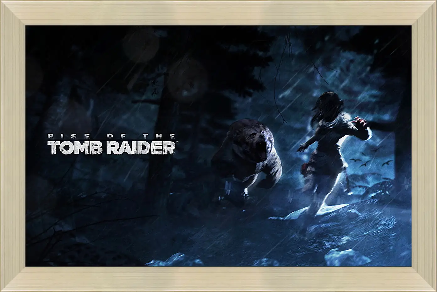 Картина в раме - Rise Of The Tomb Raider