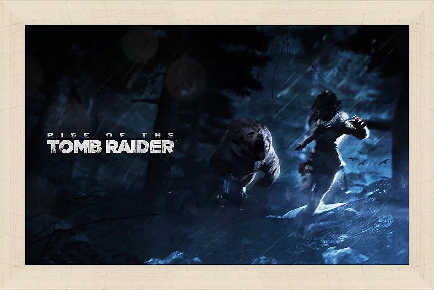 Картина в раме - Rise Of The Tomb Raider