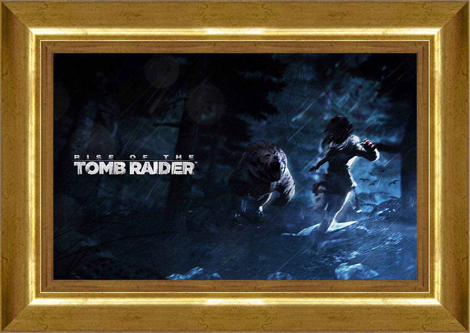 Картина в раме - Rise Of The Tomb Raider