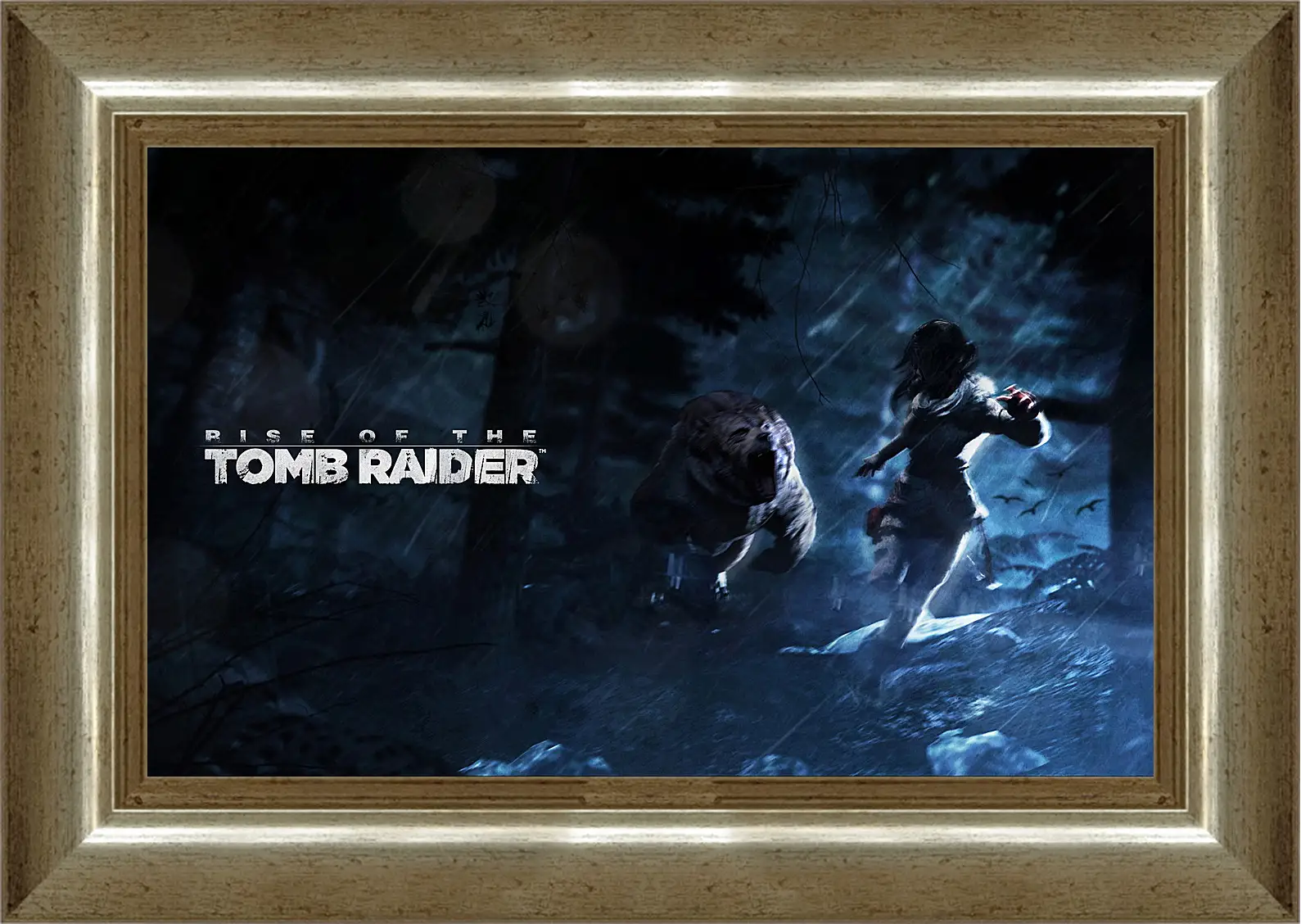 Картина в раме - Rise Of The Tomb Raider