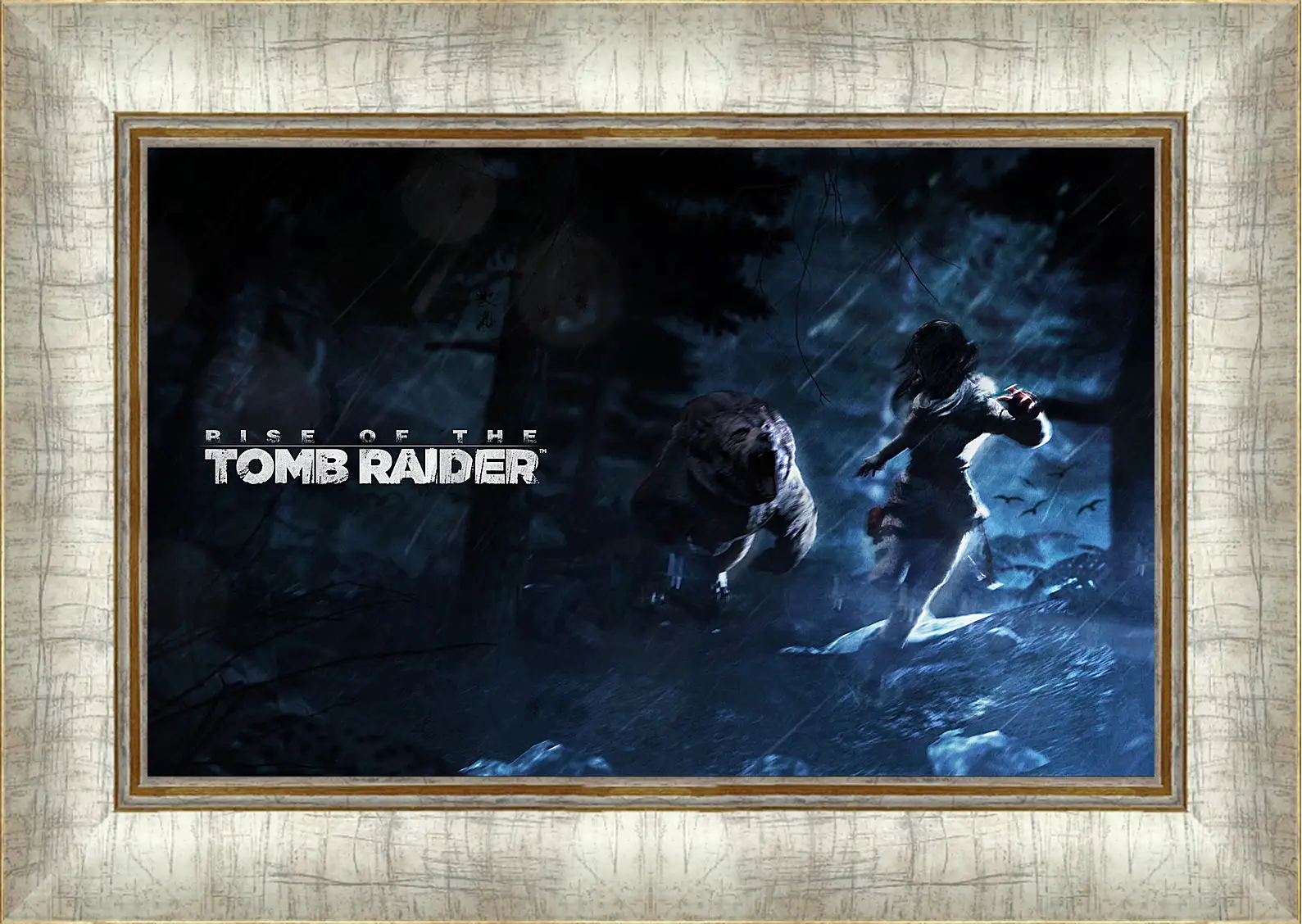 Картина в раме - Rise Of The Tomb Raider