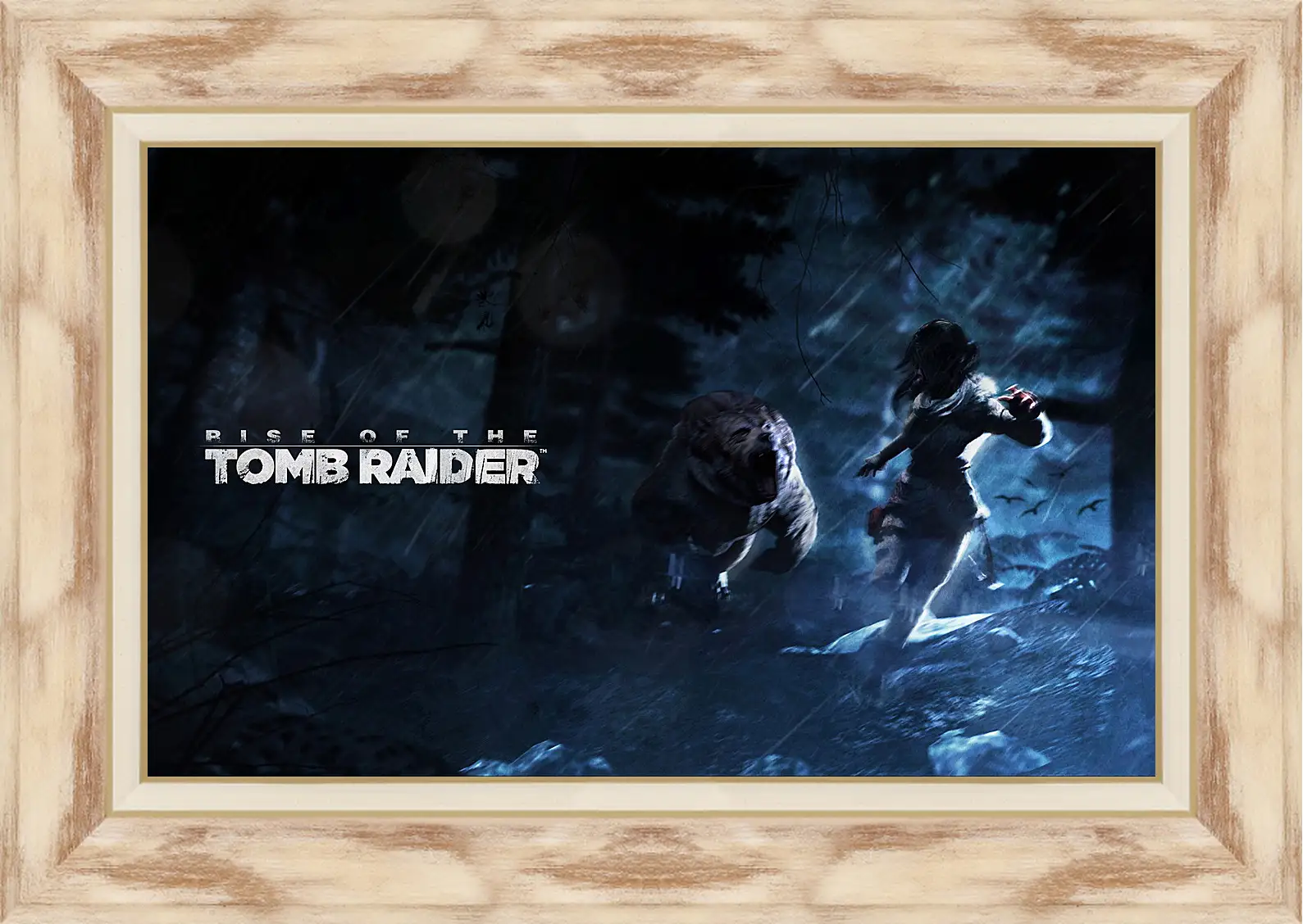 Картина в раме - Rise Of The Tomb Raider