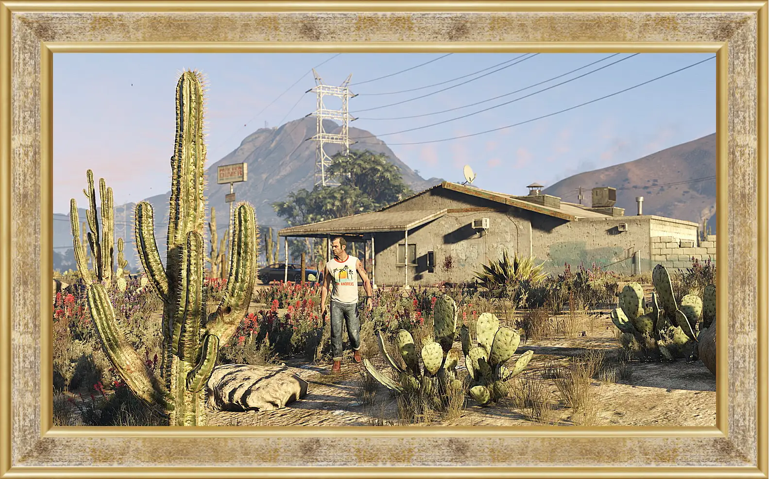 Картина в раме - Grand Theft Auto V
