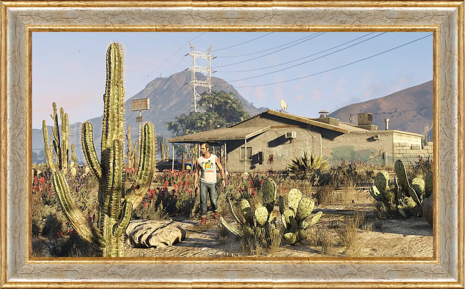 Картина в раме - Grand Theft Auto V
