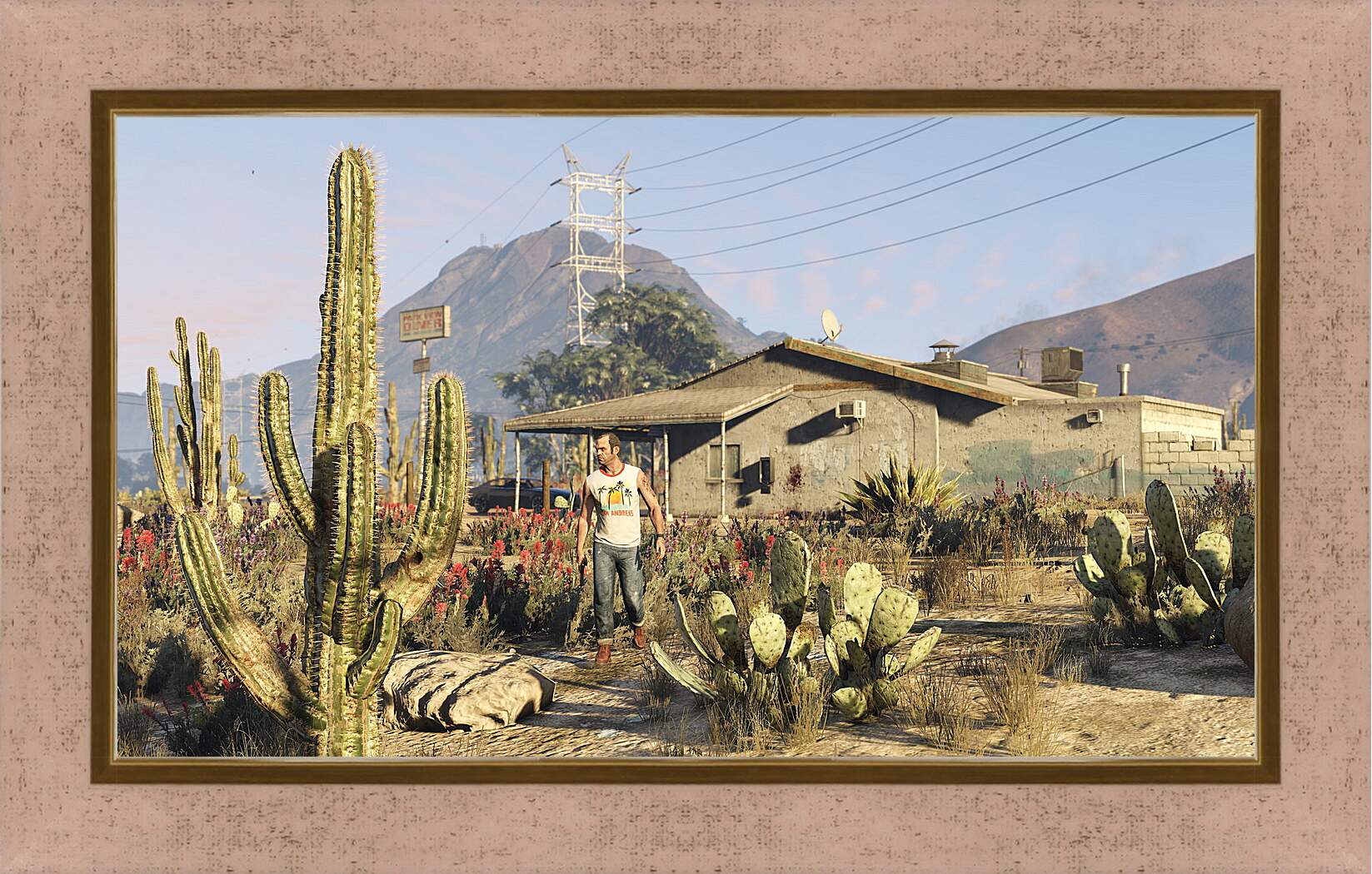 Картина в раме - Grand Theft Auto V
