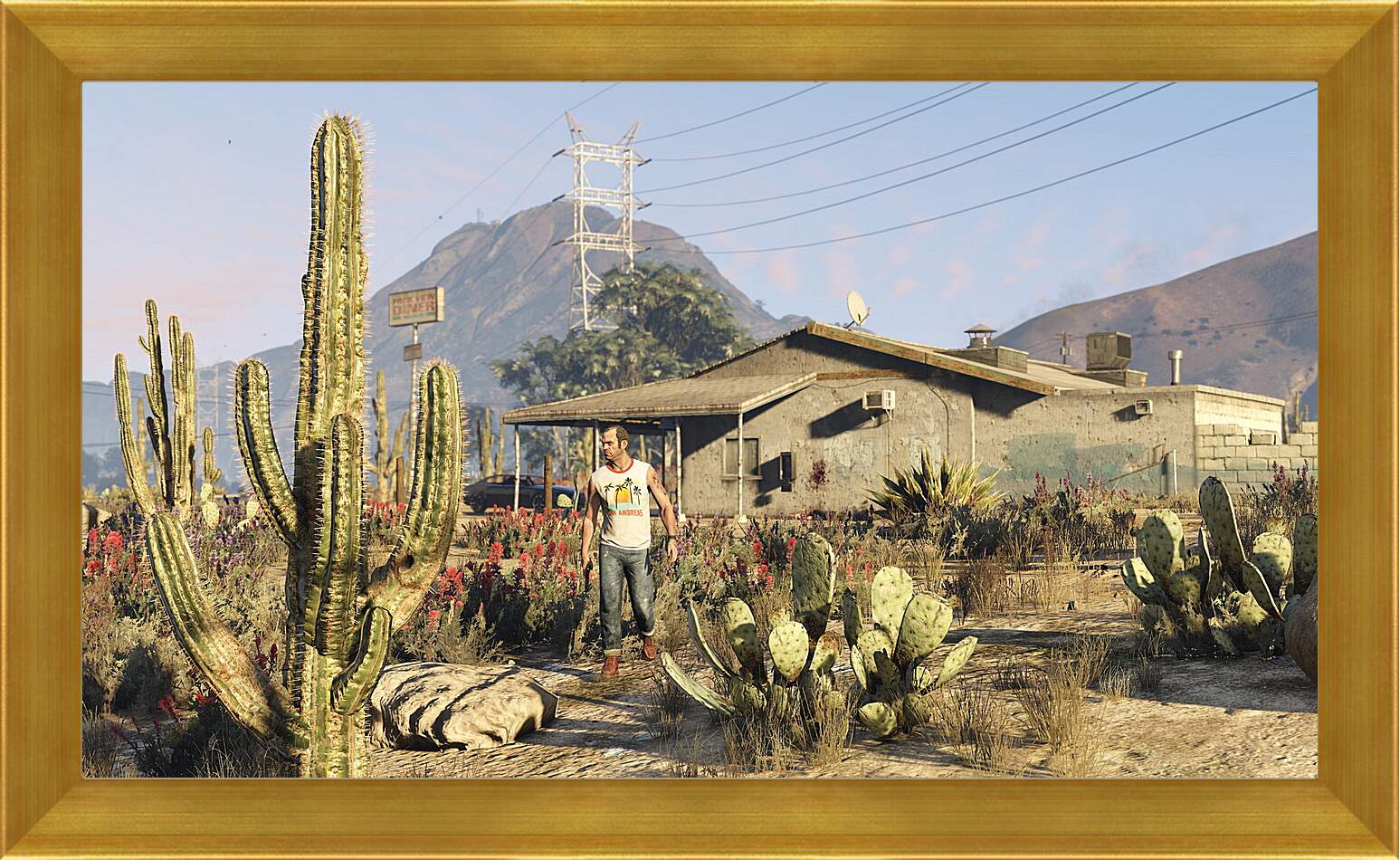 Картина в раме - Grand Theft Auto V
