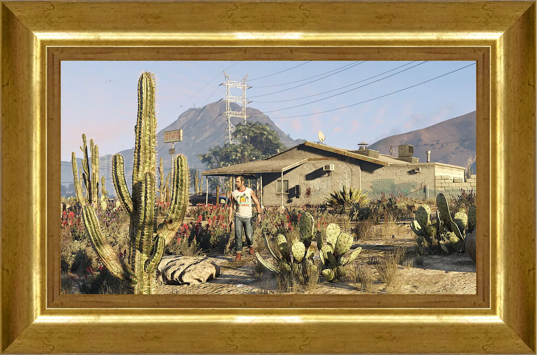 Картина в раме - Grand Theft Auto V
