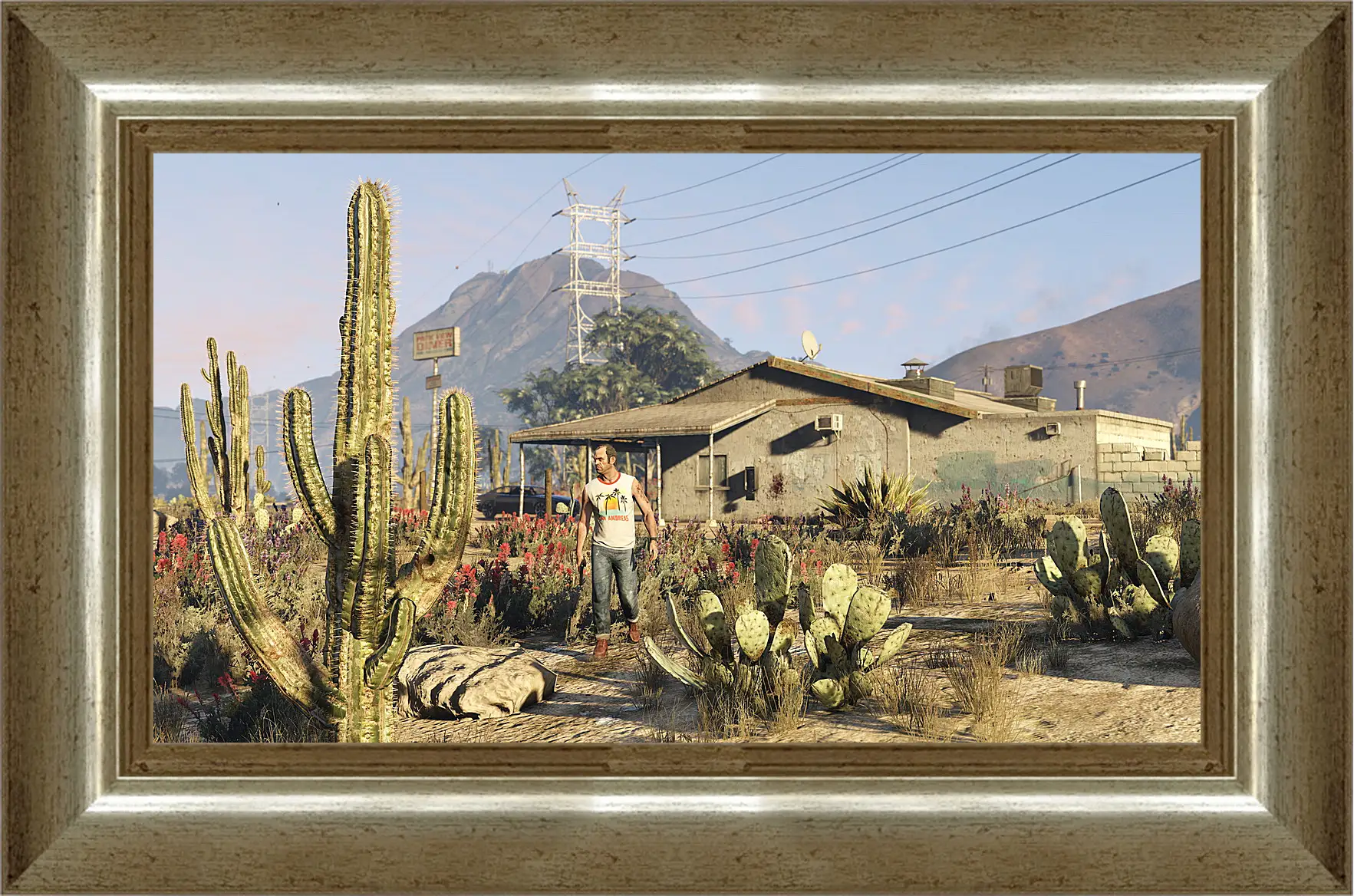 Картина в раме - Grand Theft Auto V
