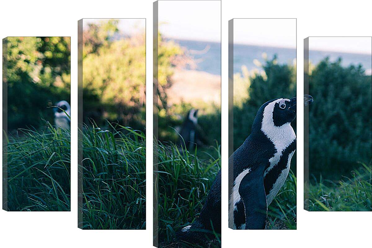 Модульная картина - Пингвины в траве