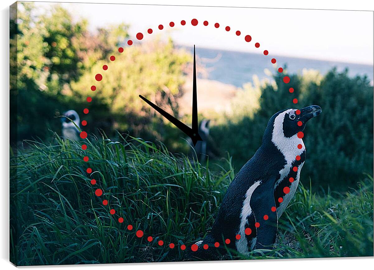 Часы картина - Пингвины в траве