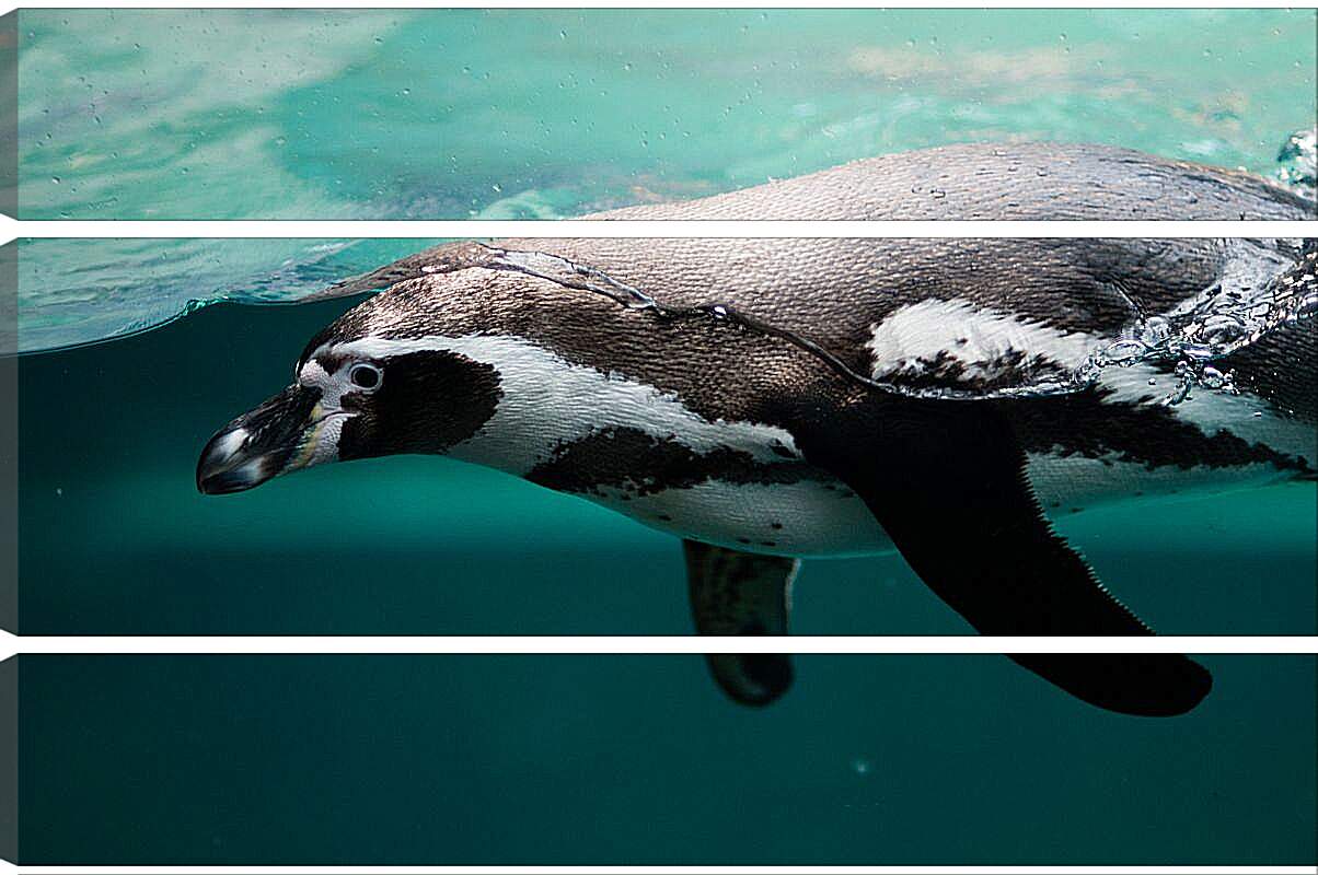 Модульная картина - Пингвин в воде
