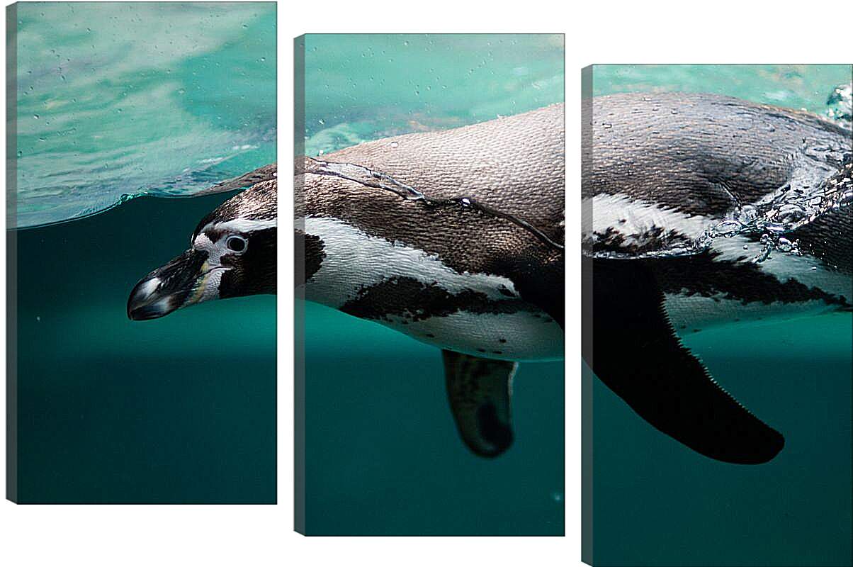 Модульная картина - Пингвин в воде