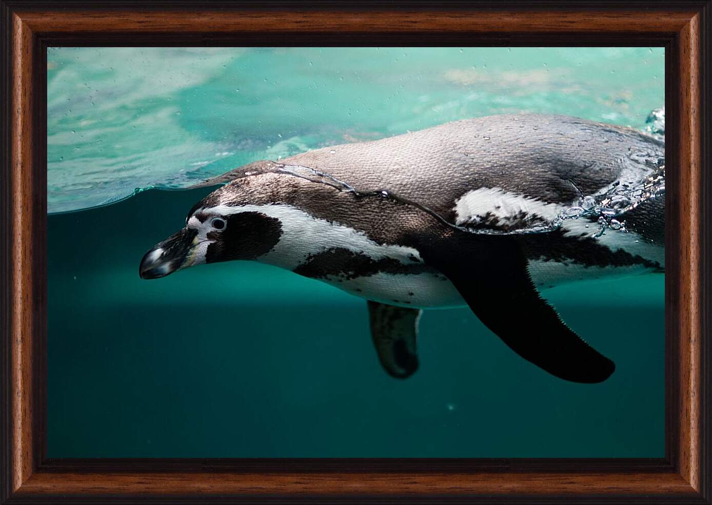 Картина в раме - Пингвин в воде