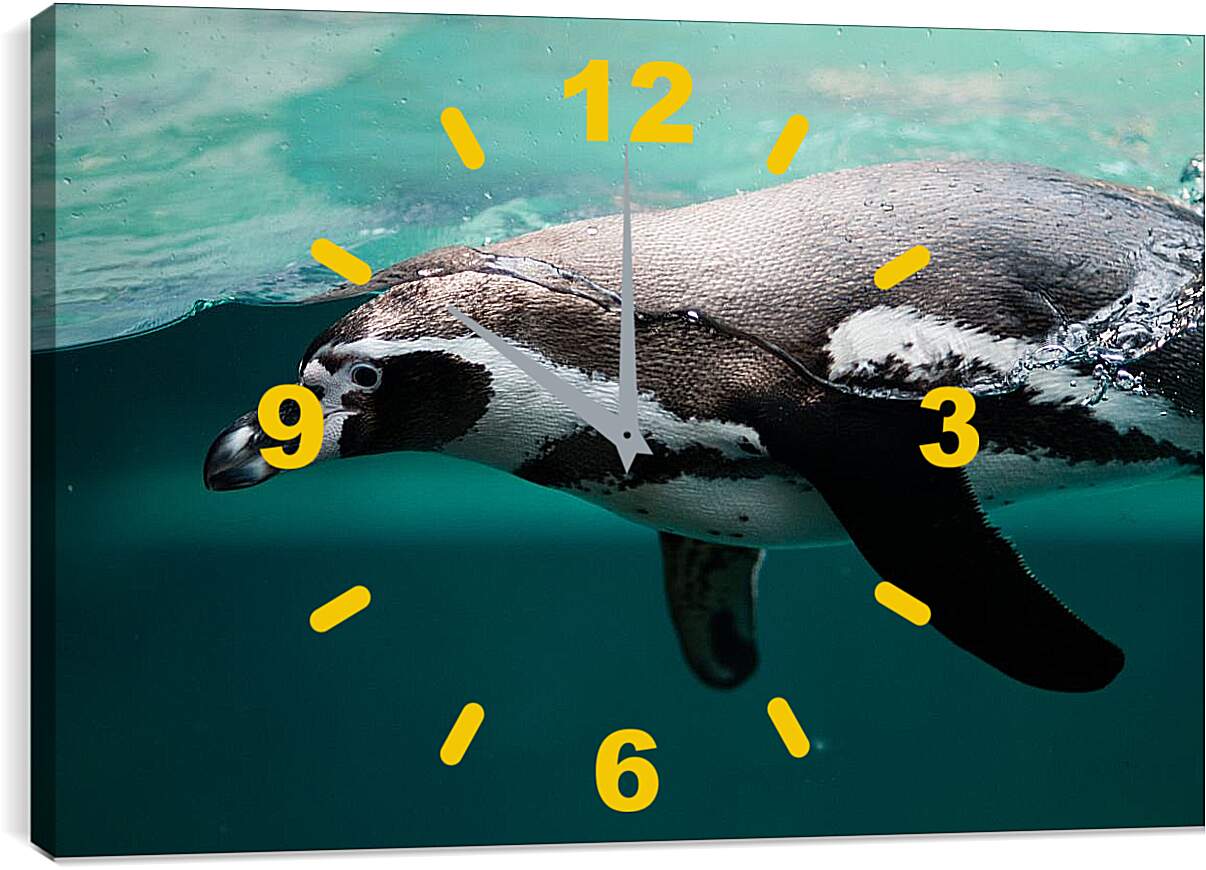 Часы картина - Пингвин в воде