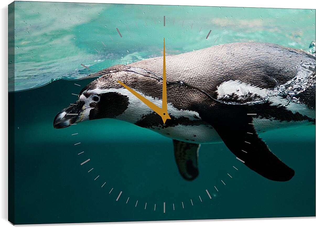 Часы картина - Пингвин в воде