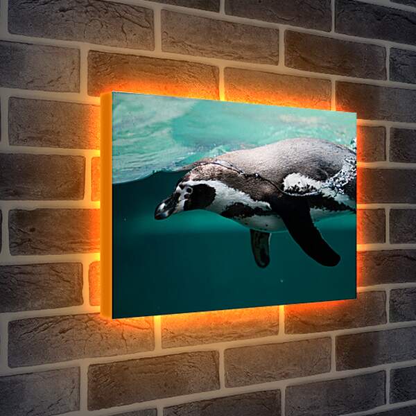 Лайтбокс световая панель - Пингвин в воде