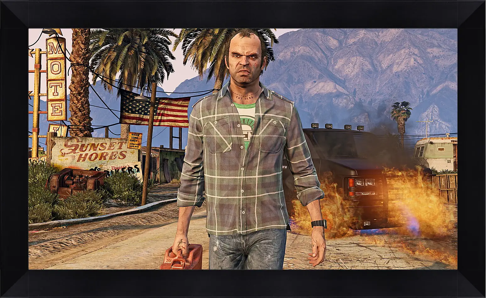 Картина в раме - Grand Theft Auto V
