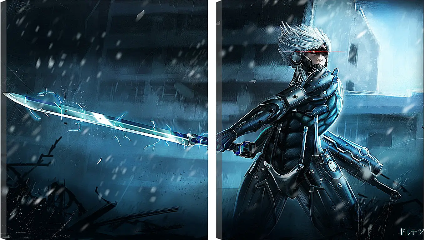 Модульная картина - Metal Gear Rising Raiden
