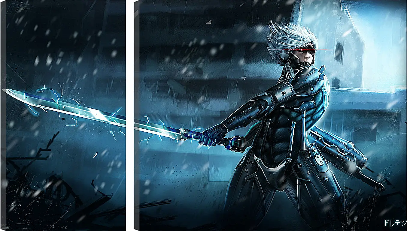 Модульная картина - Metal Gear Rising Raiden
