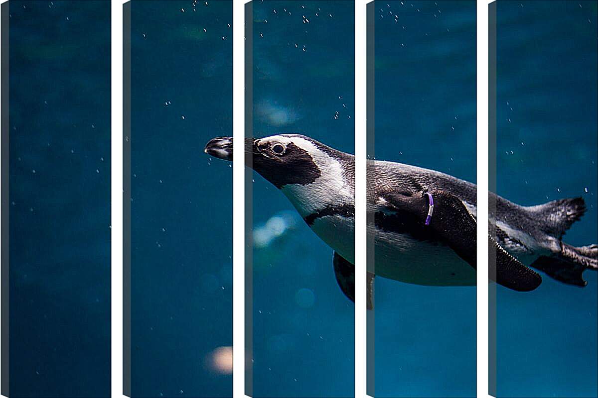 Модульная картина - Пингвин под водой