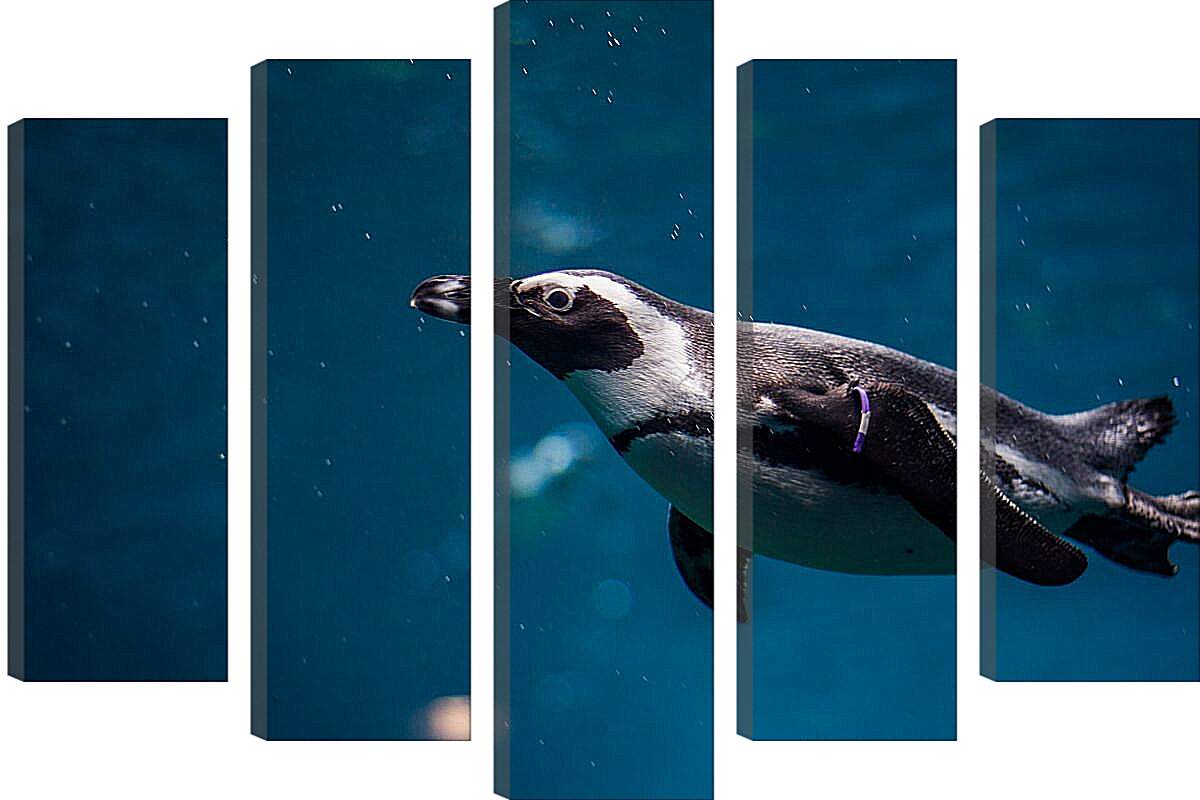 Модульная картина - Пингвин под водой