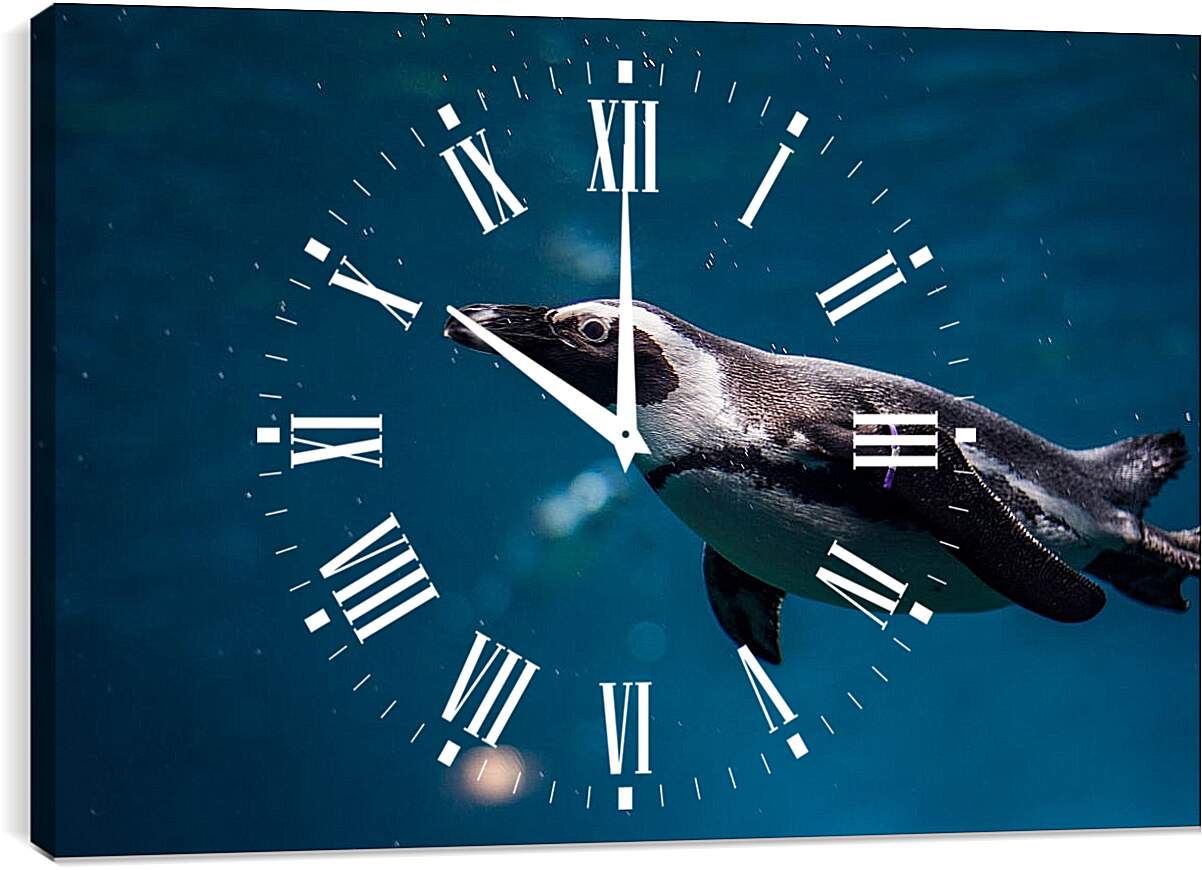 Часы картина - Пингвин под водой