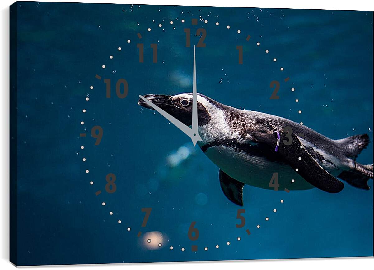 Часы картина - Пингвин под водой