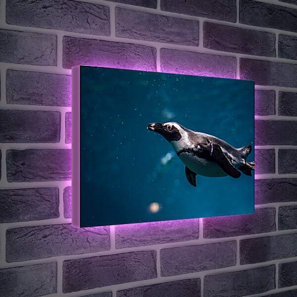 Лайтбокс световая панель - Пингвин под водой