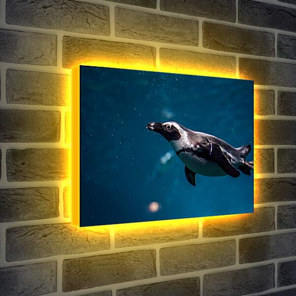 Лайтбокс световая панель - Пингвин под водой