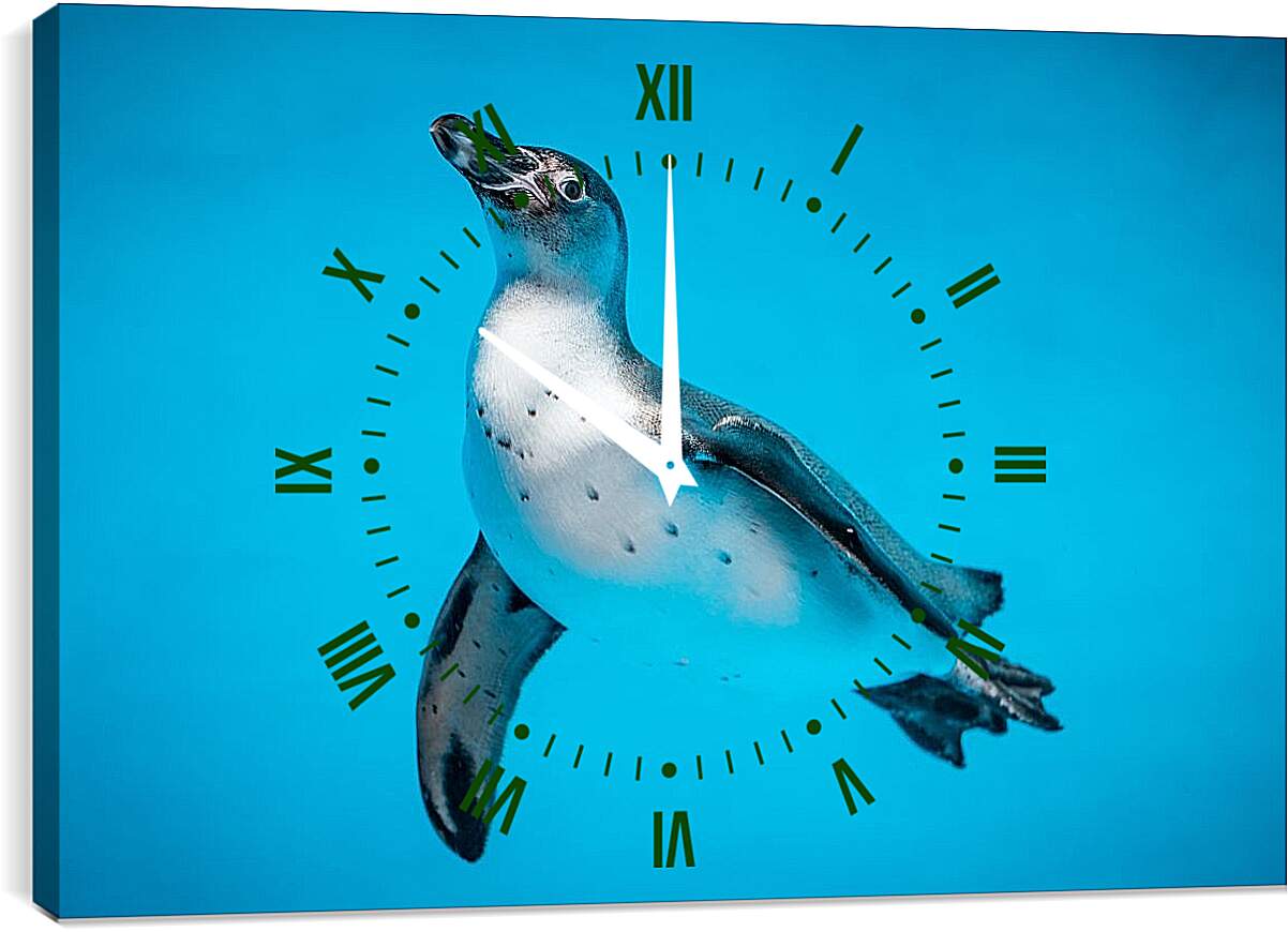 Часы картина - Пингвин с белой грудкой