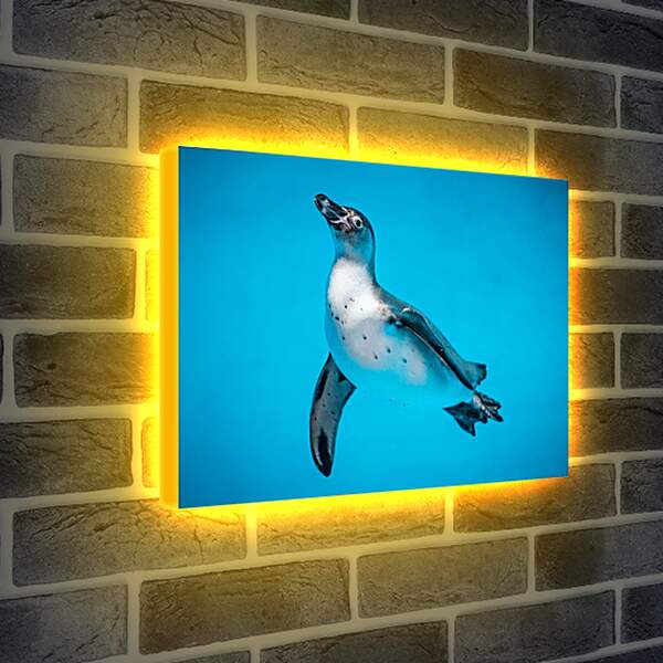 Лайтбокс световая панель - Пингвин с белой грудкой