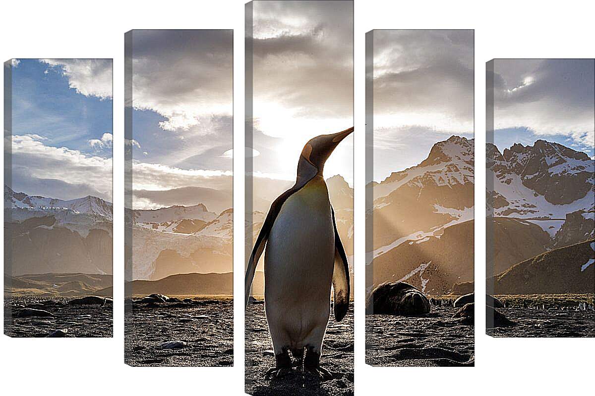 Модульная картина - Пингвин на фоне солнца