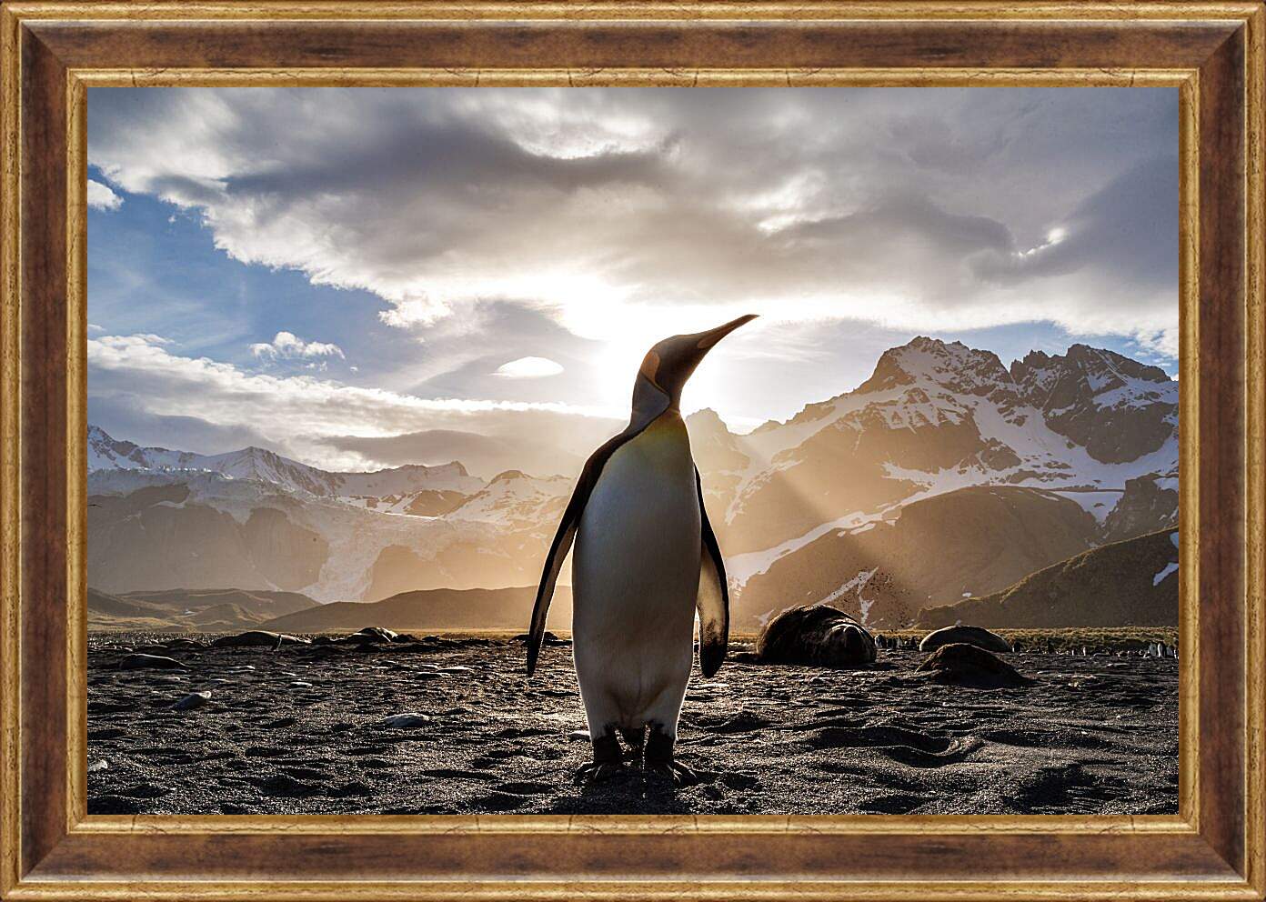 Картина в раме - Пингвин на фоне солнца