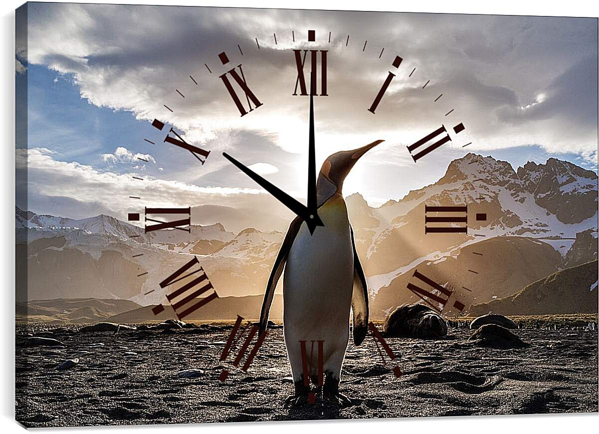 Часы картина - Пингвин на фоне солнца