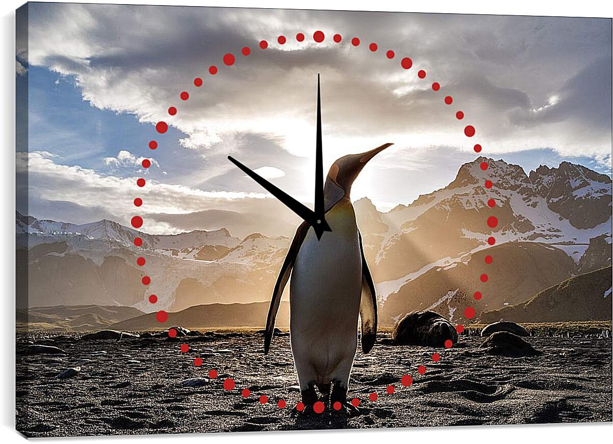 Часы картина - Пингвин на фоне солнца